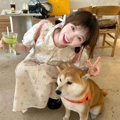 废柴联盟第三季
